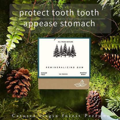 Remineralizing Chewing Gum, 2025 Organic Natural Mastic Mint Gum Sugar Free